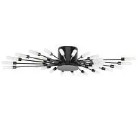 Потолочная люстра Lightstar Ragno 732287 